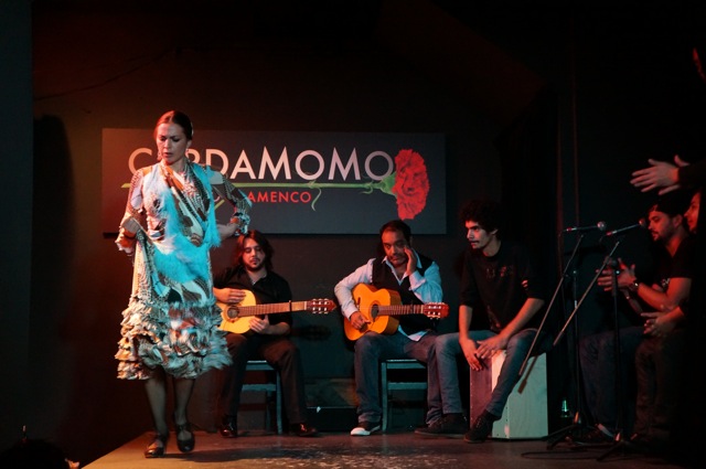 Something In Her Ramblings, un blog de viajes de Madrid, descubre el flamenco en Madrid en Cardamomo Tablao Flamenco. 